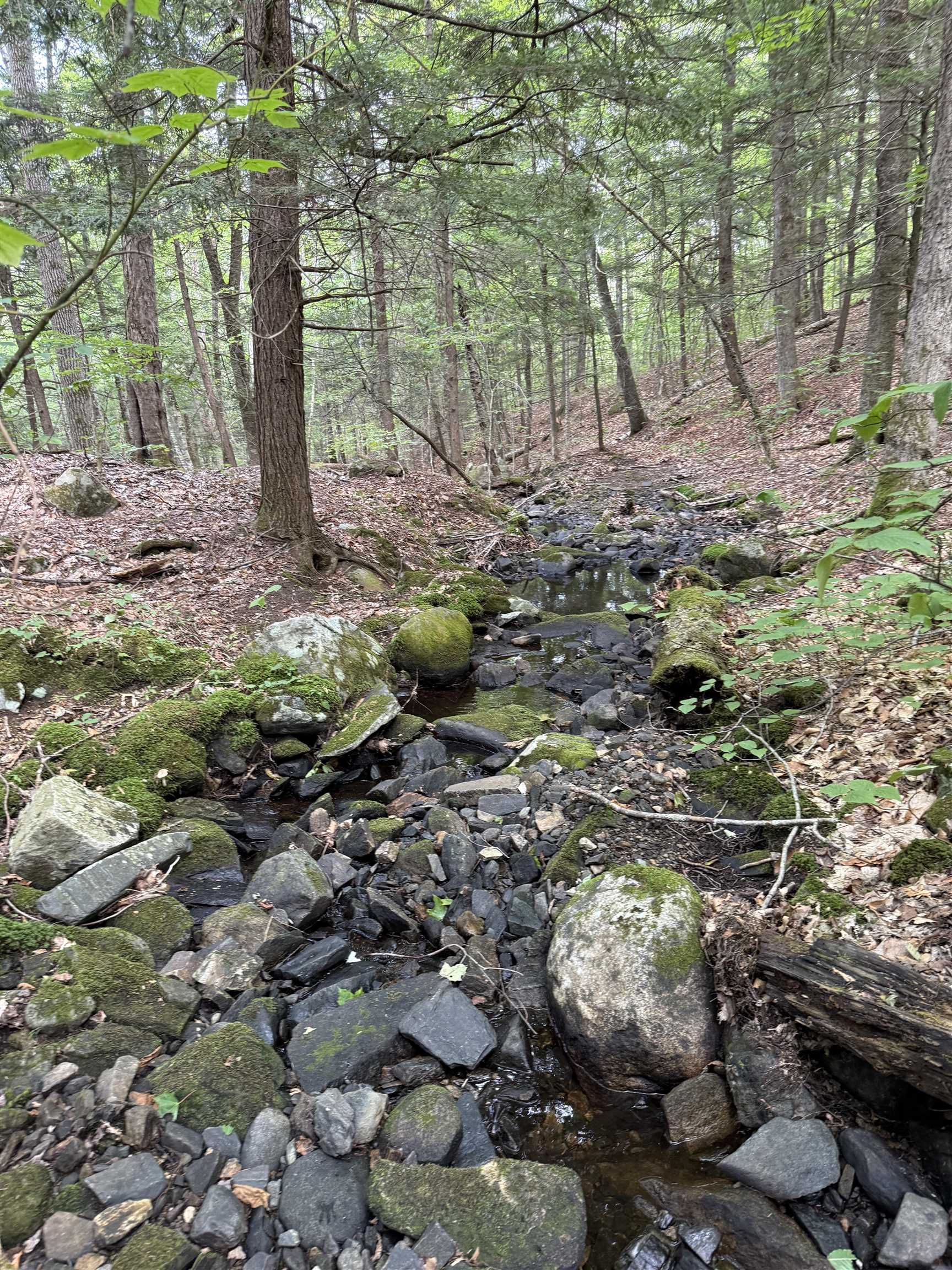 864 Nh Rte 4a Enfield, NH 03748 - Photo 27 of 34