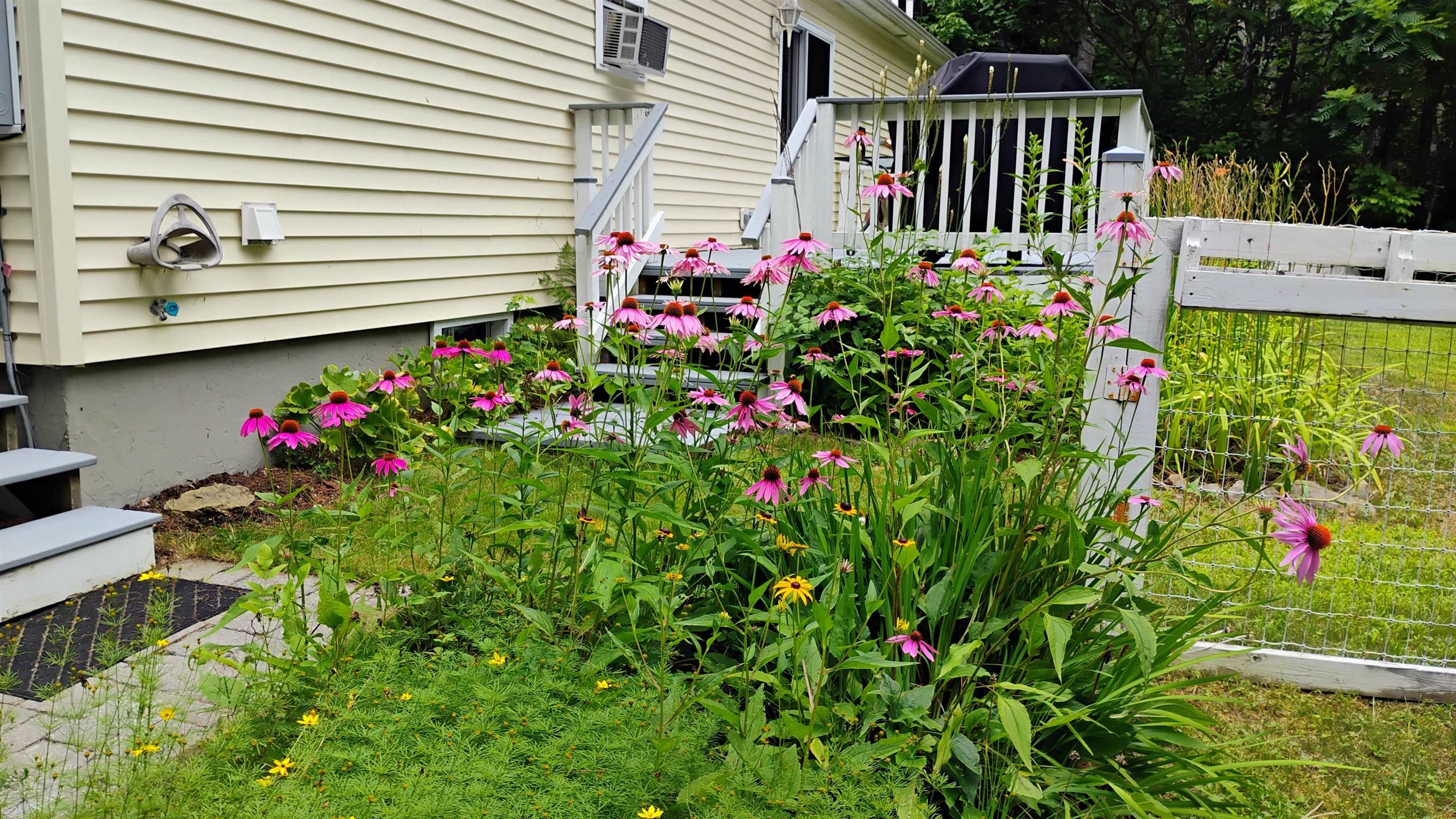 864 Nh Rte 4a Enfield, NH 03748 - Photo 30 of 34