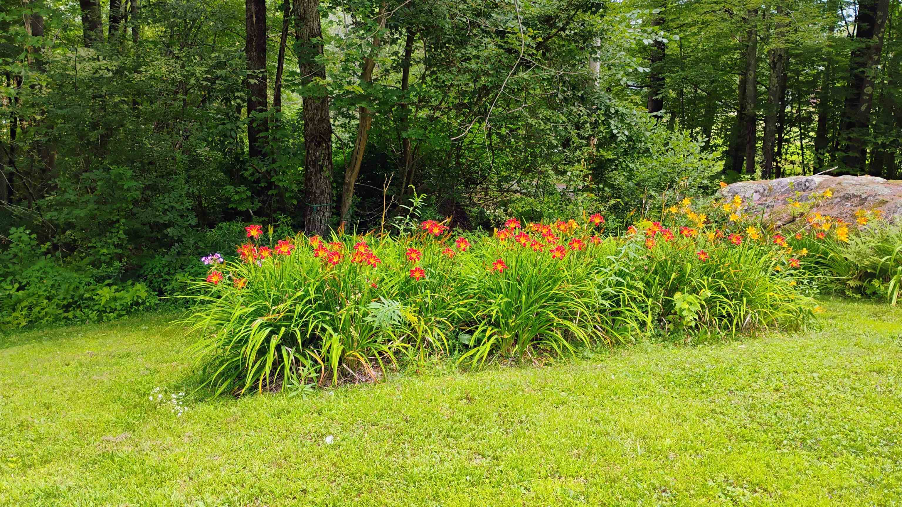 864 Nh Rte 4a Enfield, NH 03748 - Photo 4 of 34