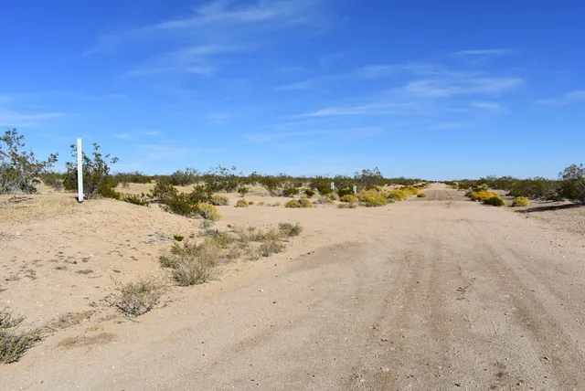 a view of beach and ocean