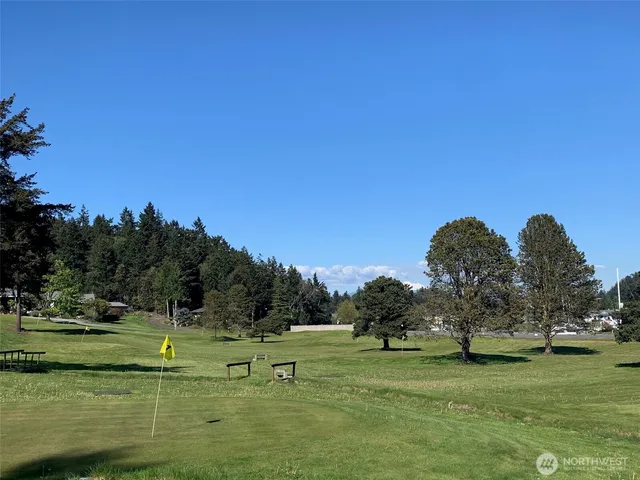a view of a golf course with a lake