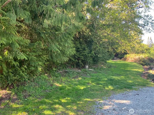 a view of a lush green space