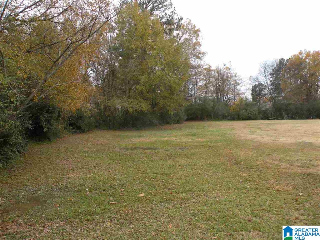 4th Street Sylacauga, AL 35150 - Photo 8 of 8