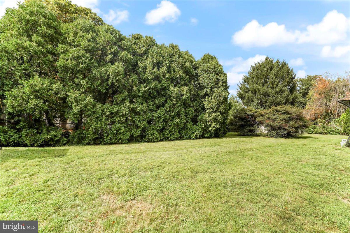 120 President Avenue Rutledge, PA 19070 - Photo 40 of 41