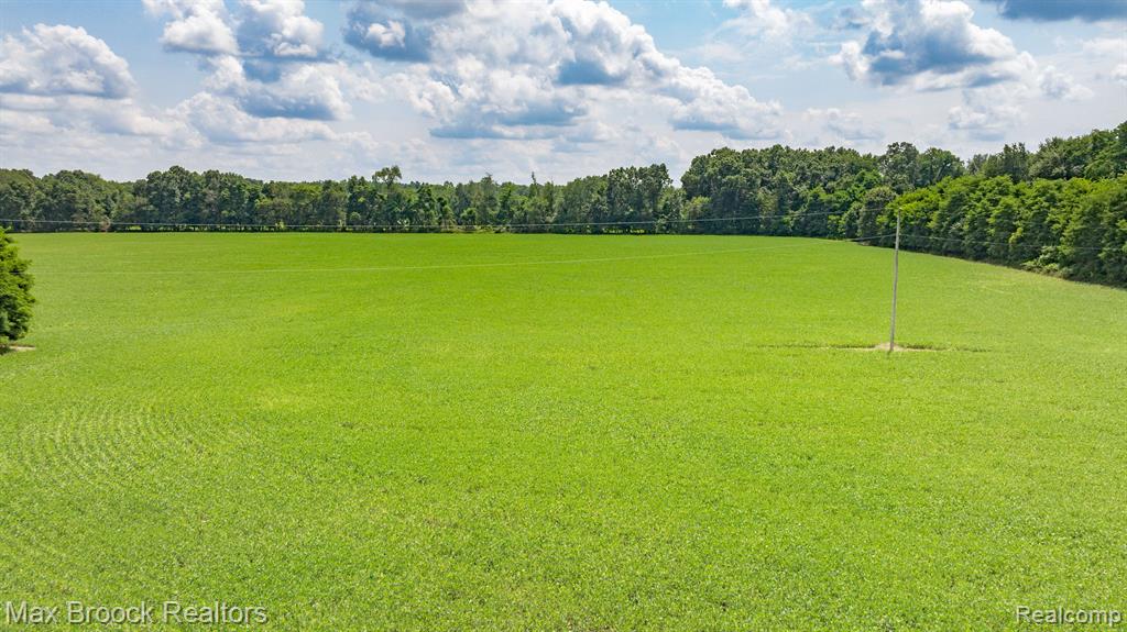 6694 North Fleming Road Howell, MI 48855 - Photo 4 of 45