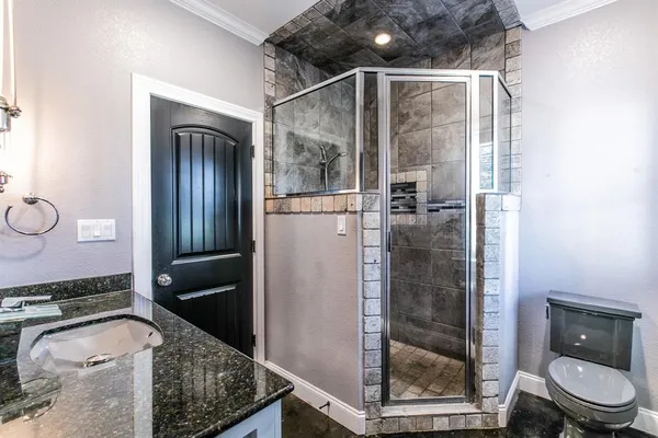 a bathroom with a granite countertop sink a toilet and shower