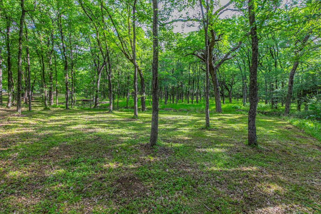 20 Independence Trail Waco, TX 76708 - Photo 31 of 40 a view of a park with a trees
