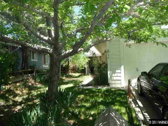 a view of a yard with plants and large trees