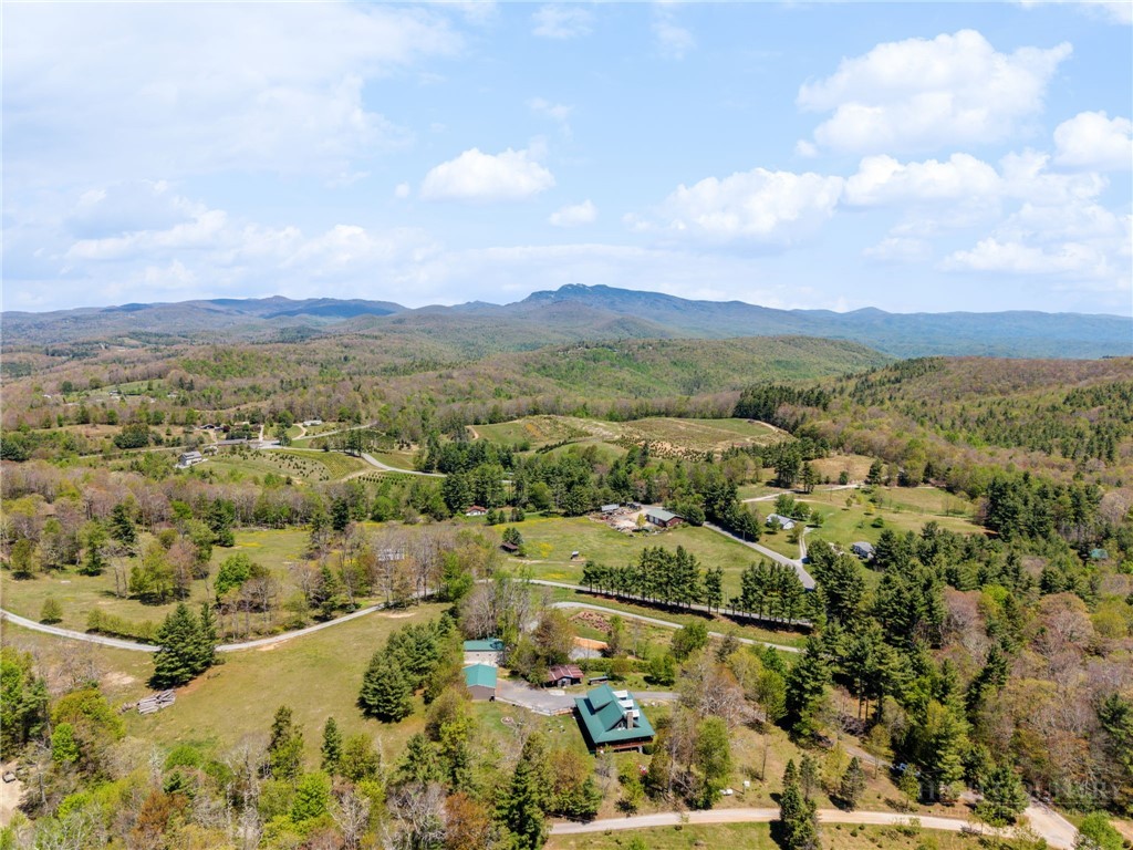 5706 Mortimer Road Newland, NC 28657 - Photo 38 of 40 Gallery Image 38
