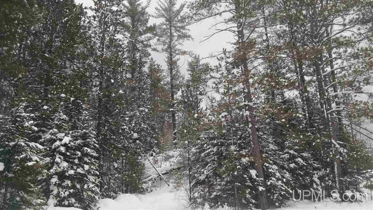 74 A Co Road Wetmore, MI 49895 - Photo 3 of 5