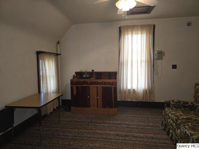 220 North Scofield Street Carthage, IL 62321 - Photo 13 of 25