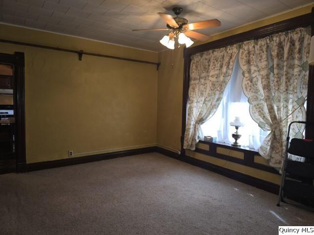 220 North Scofield Street Carthage, IL 62321 - Photo 7 of 25