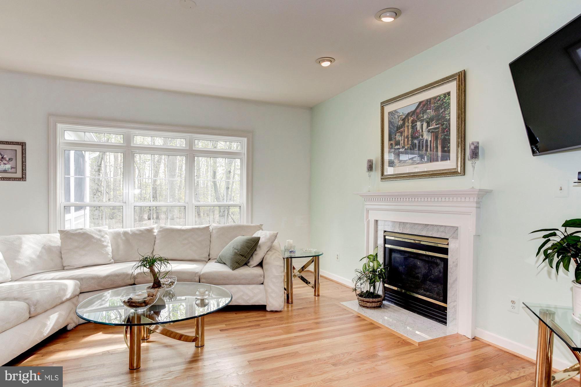 5303 Backlick Road Springfield, VA 22151 - Photo 11 of 40 Living Room