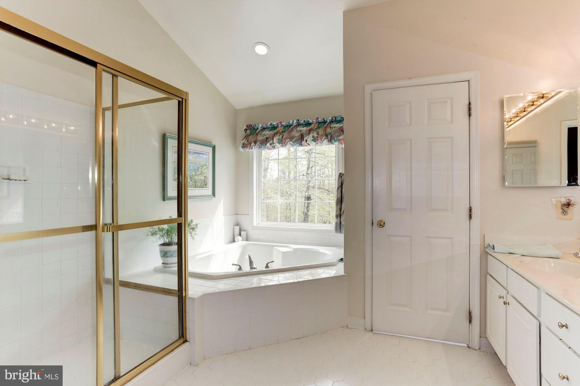 5303 Backlick Road Springfield, VA 22151 - Photo 23 of 40 Master Bath