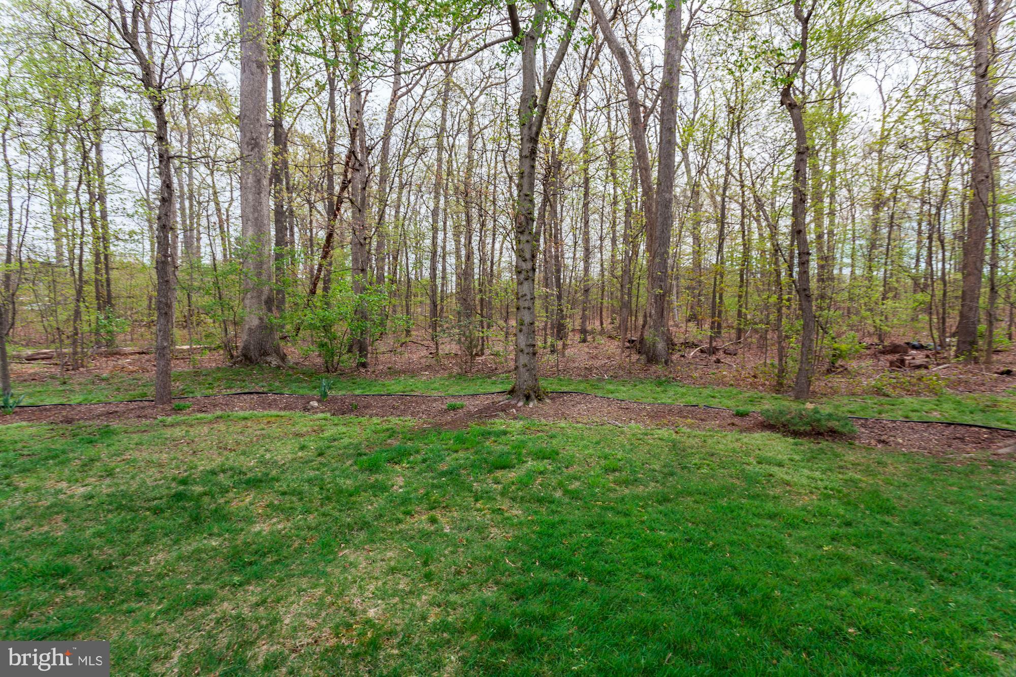 5303 Backlick Road Springfield, VA 22151 - Photo 35 of 40 Exterior