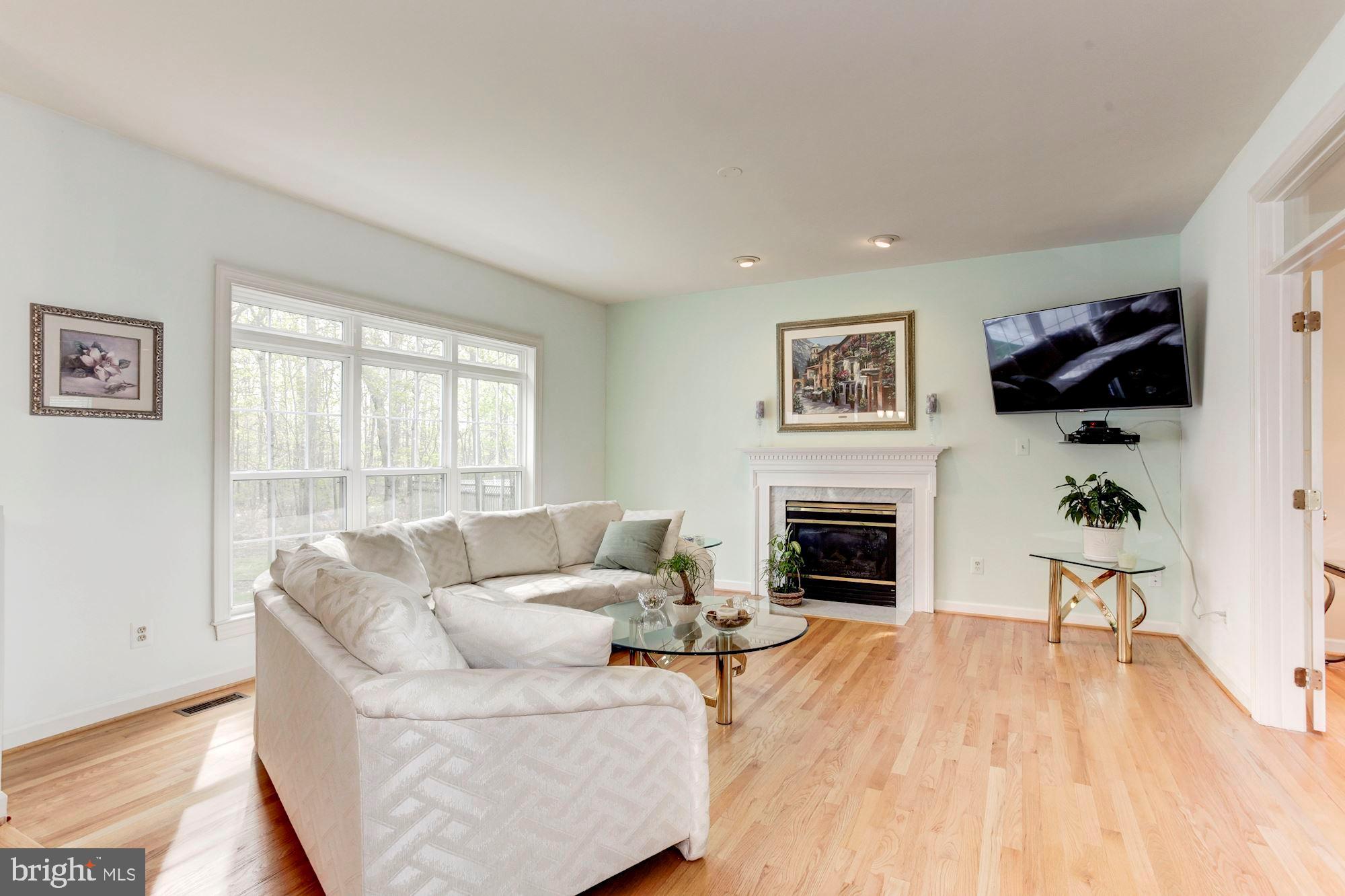 5303 Backlick Road Springfield, VA 22151 - Photo 10 of 40 Living Room