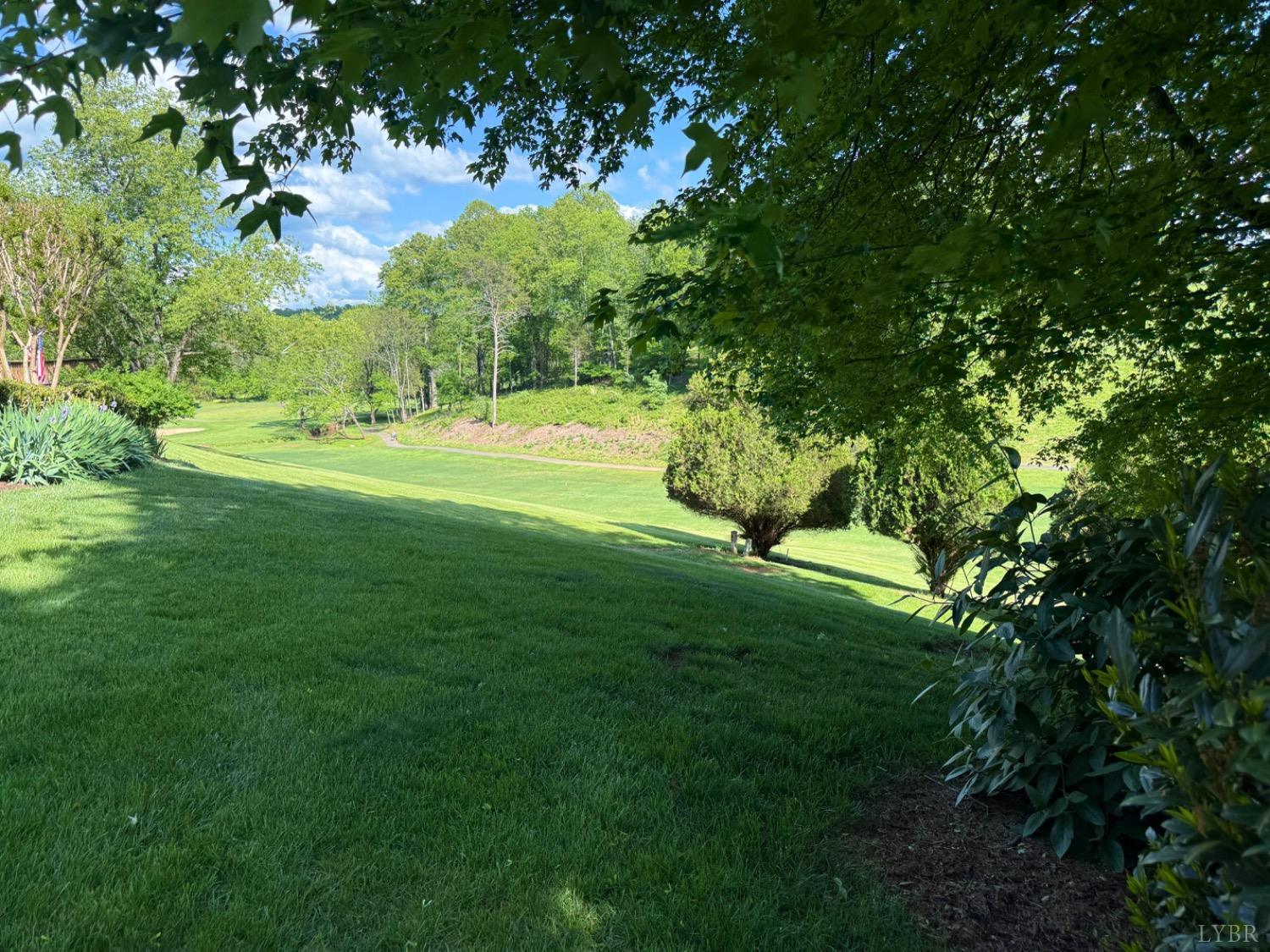 306 Quail Meadows Drive Forest, VA 24551 - Photo 3 of 57 a view of green field with large trees