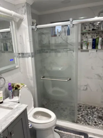 a bathroom with a shower and a toilet