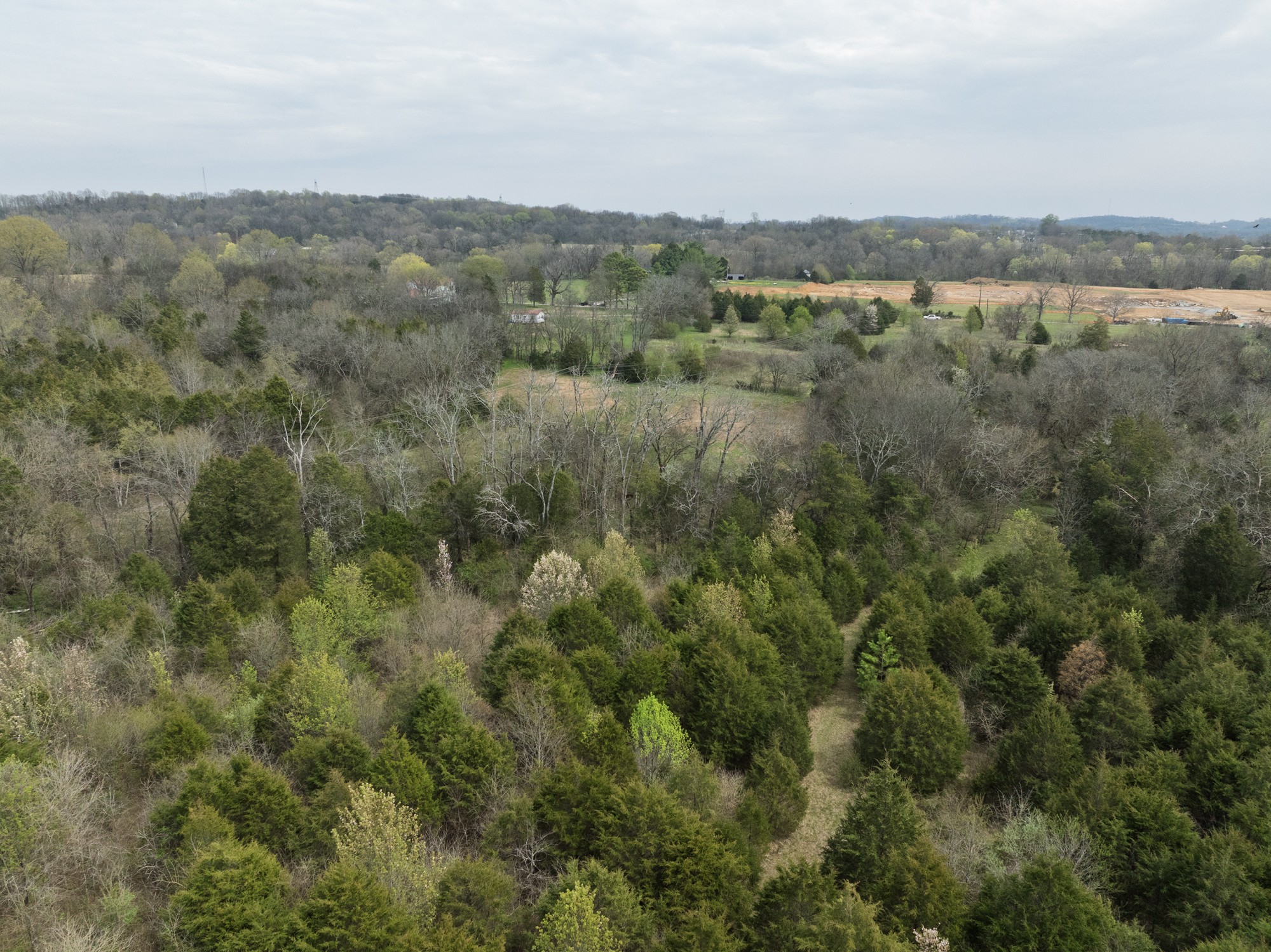 0 Baker Road Columbia, TN 38401 - Photo 12 of 46 a view of a city with lush green forest