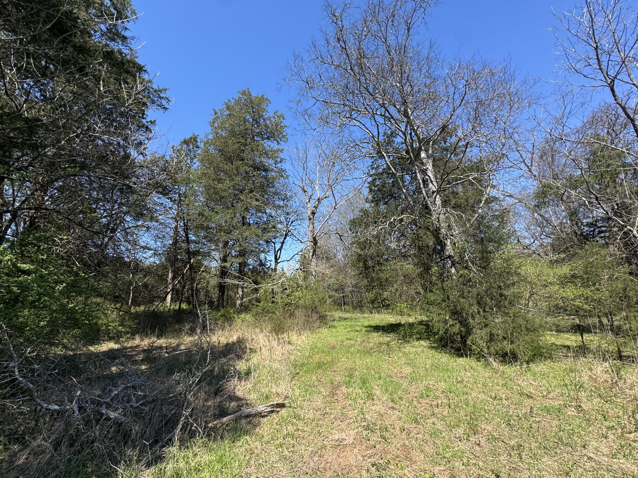 0 Baker Road Columbia, TN 38401 - Photo 19 of 46