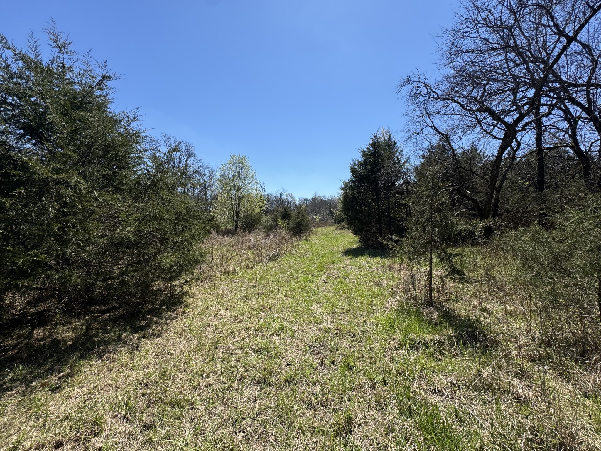 0 Baker Road Columbia, TN 38401 - Photo 20 of 46 a view of a yard with a tree