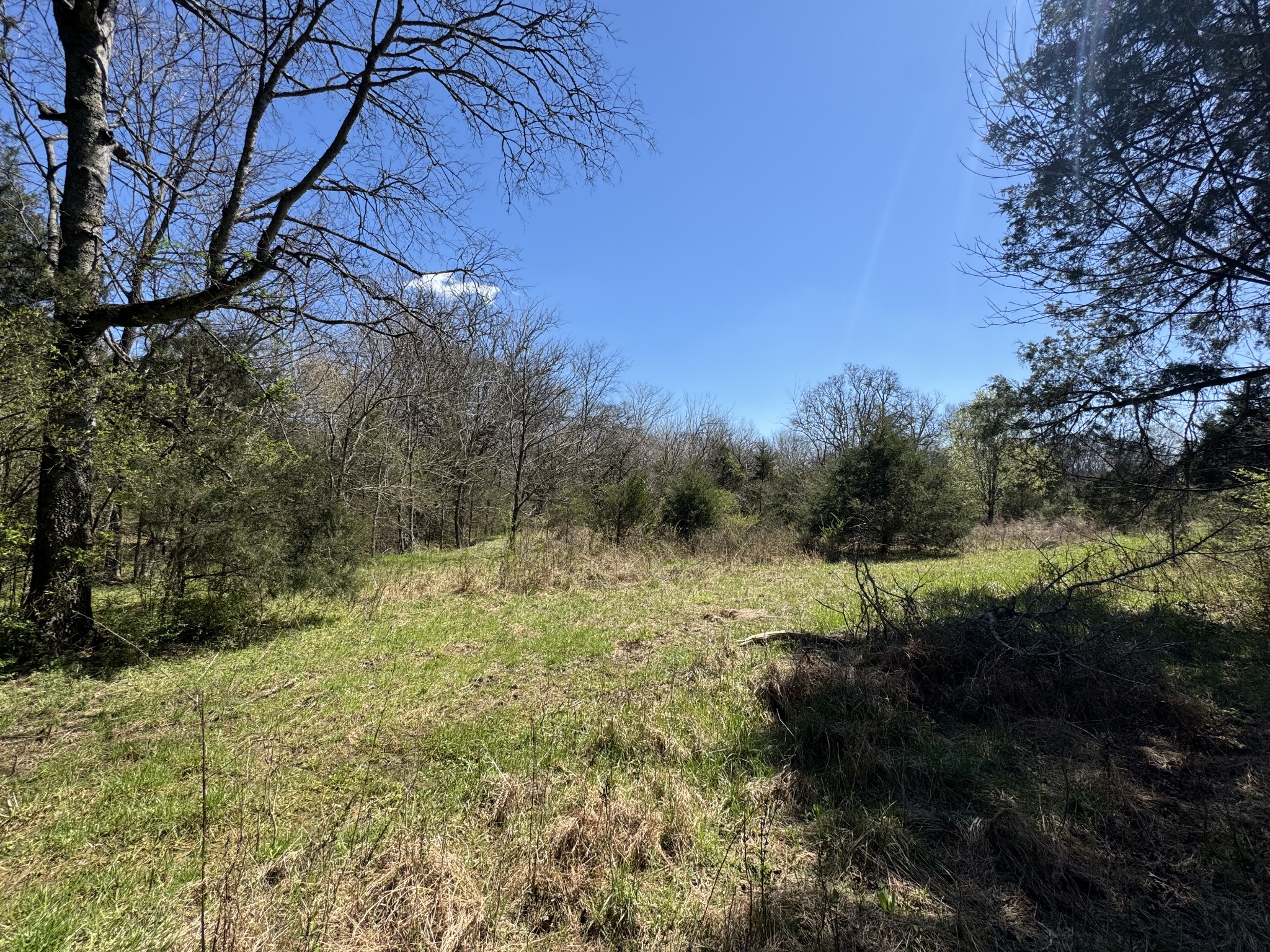 0 Baker Road Columbia, TN 38401 - Photo 21 of 46 a view of a yard with a tree