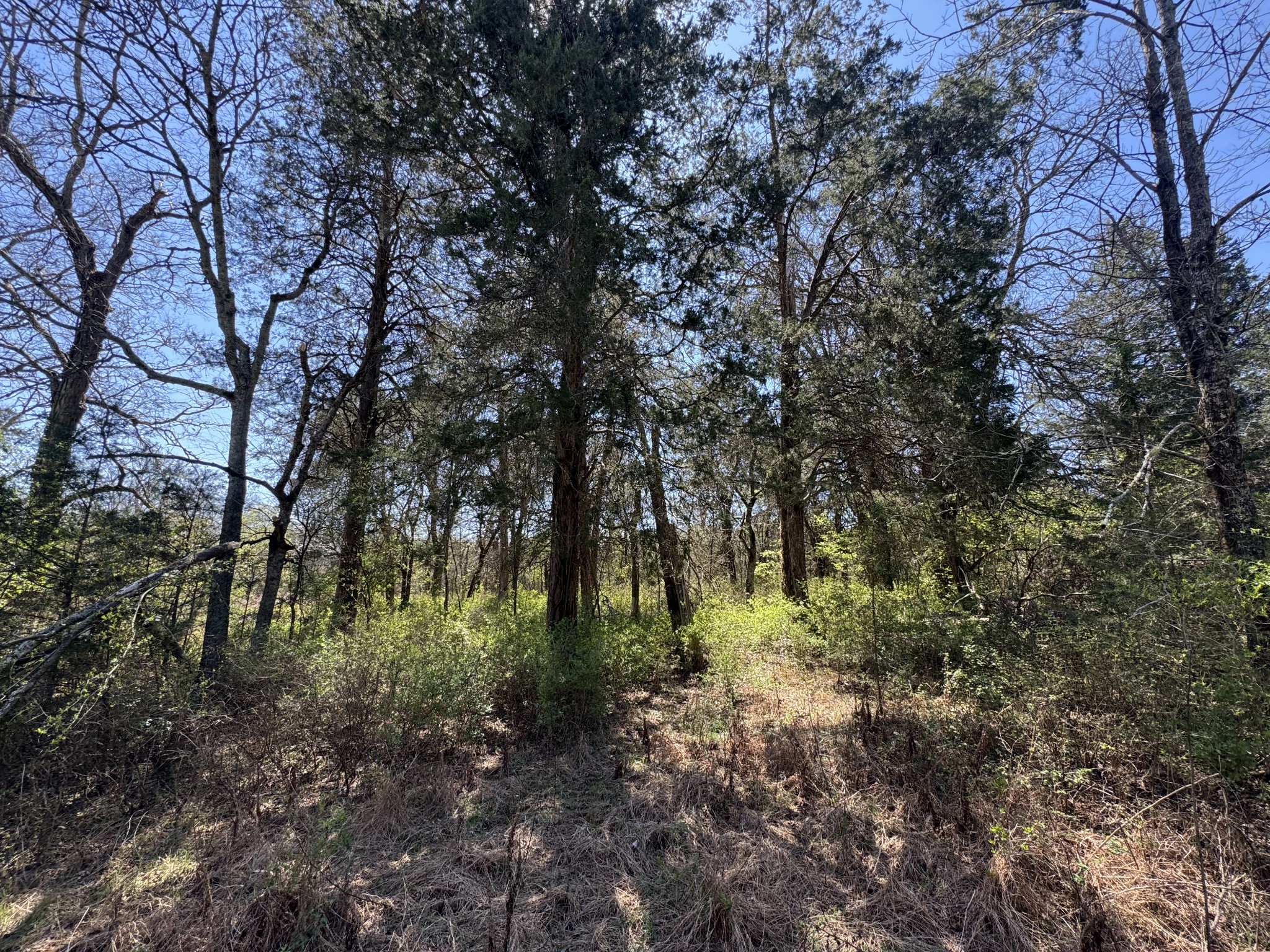0 Baker Road Columbia, TN 38401 - Photo 25 of 46 a backyard of a house with lots of green space
