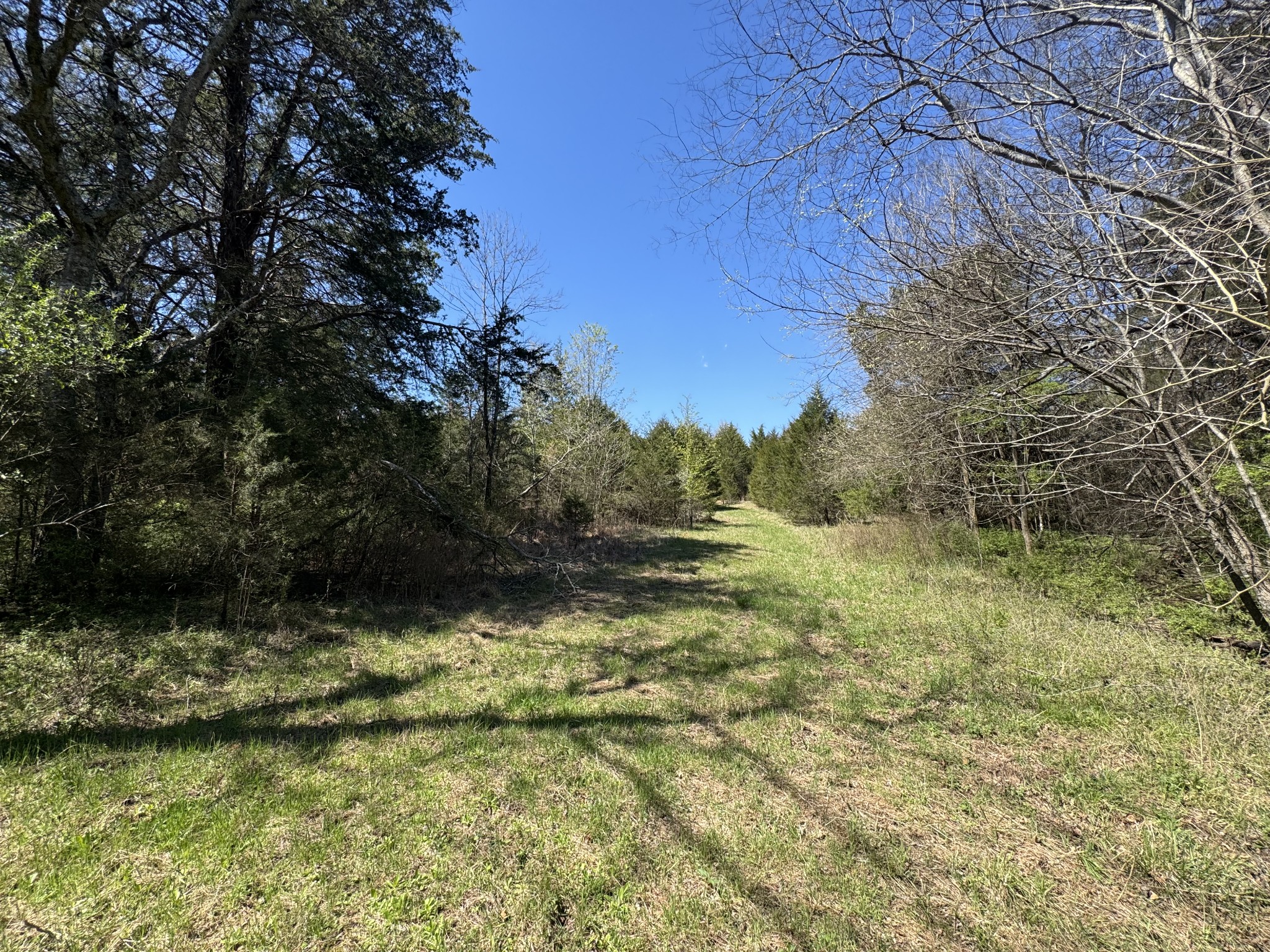 0 Baker Road Columbia, TN 38401 - Photo 30 of 46 a view of a yard