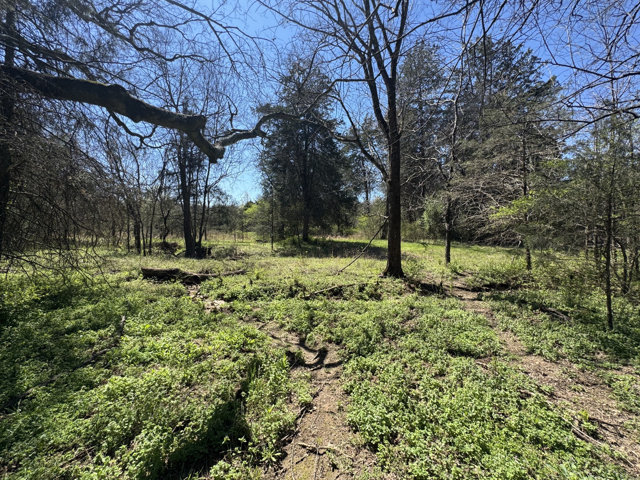 0 Baker Road Columbia, TN 38401 - Photo 31 of 46 a view of outdoor space with swimming pool