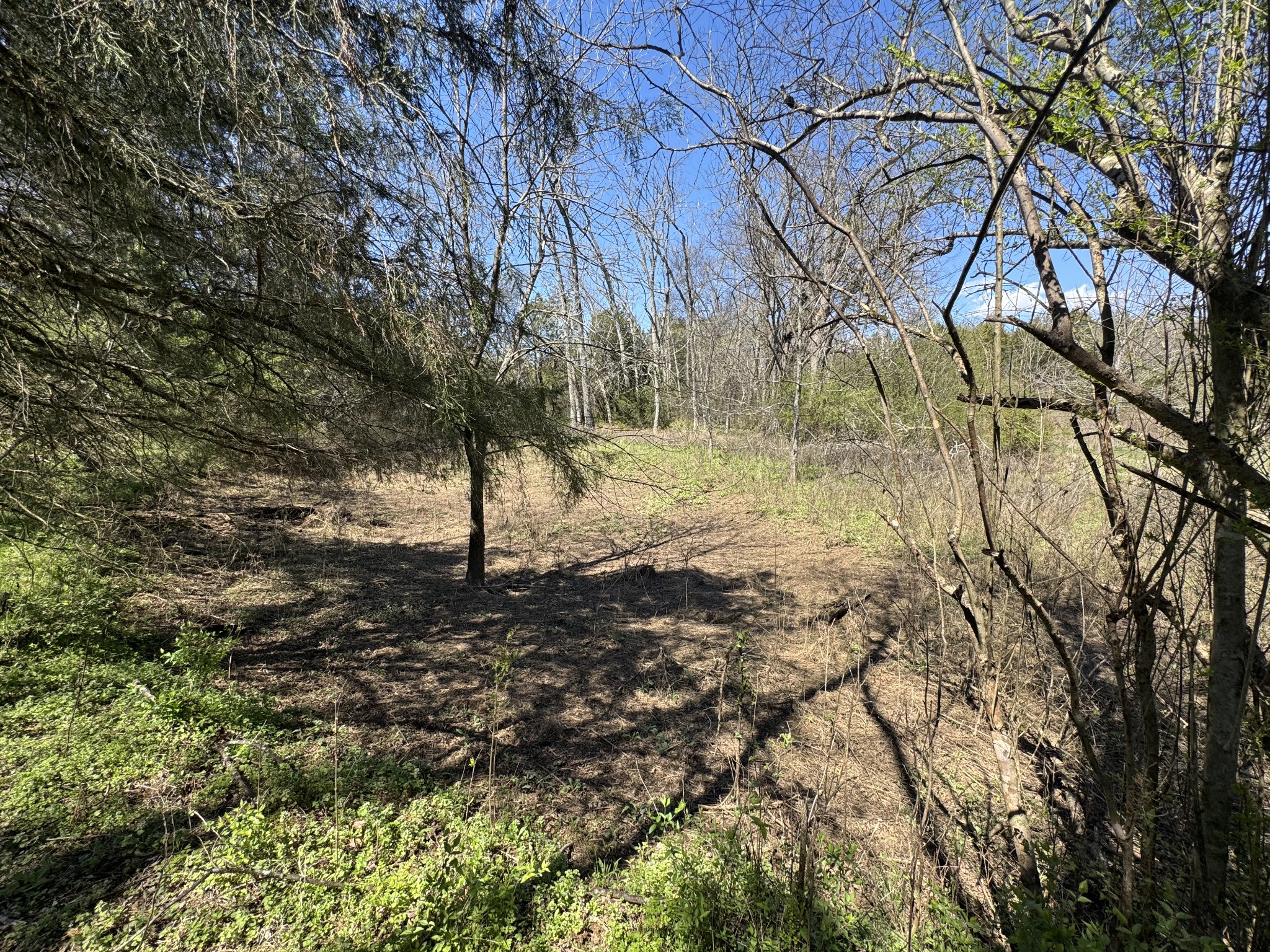 0 Baker Road Columbia, TN 38401 - Photo 32 of 46 a view of yard with trees