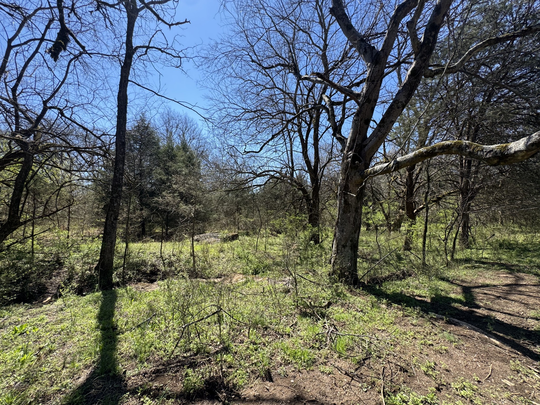 0 Baker Road Columbia, TN 38401 - Photo 35 of 46 a view of a yard with large trees