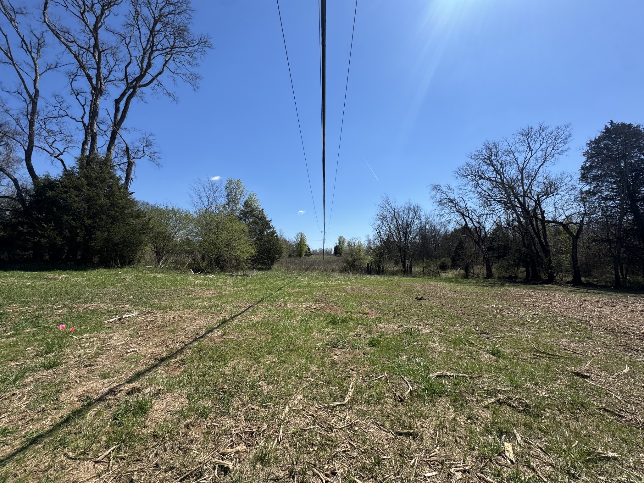 0 Baker Road Columbia, TN 38401 - Photo 37 of 46 a big yard with lots of green space