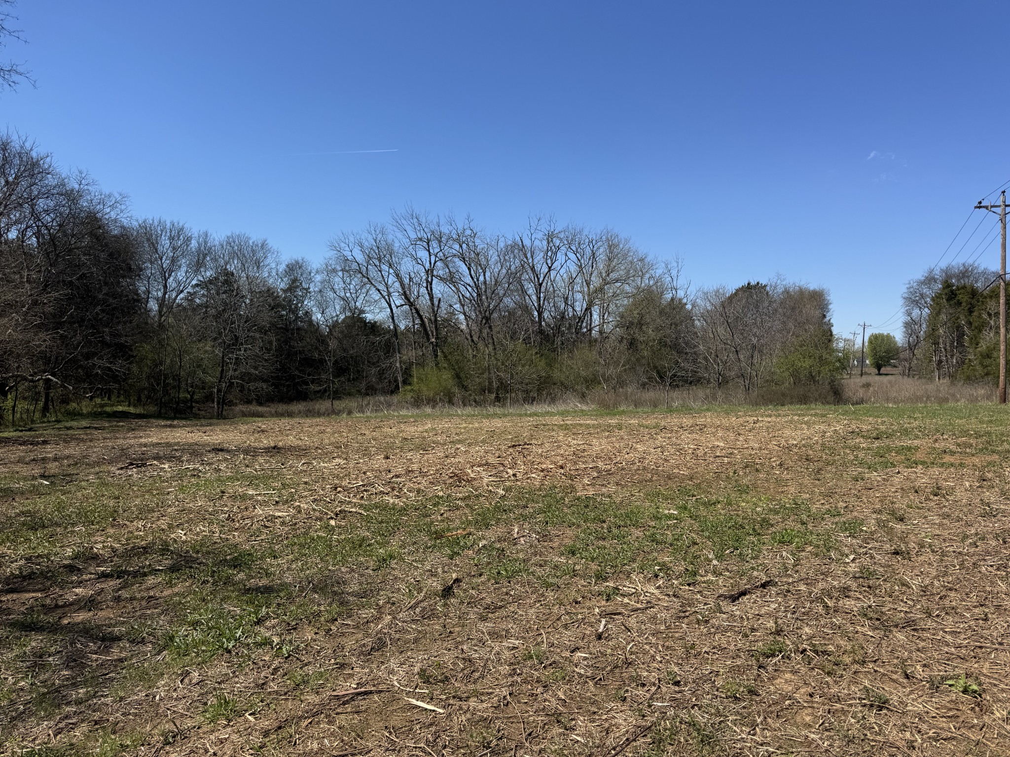 0 Baker Road Columbia, TN 38401 - Photo 39 of 46 a view of a field with trees in the background