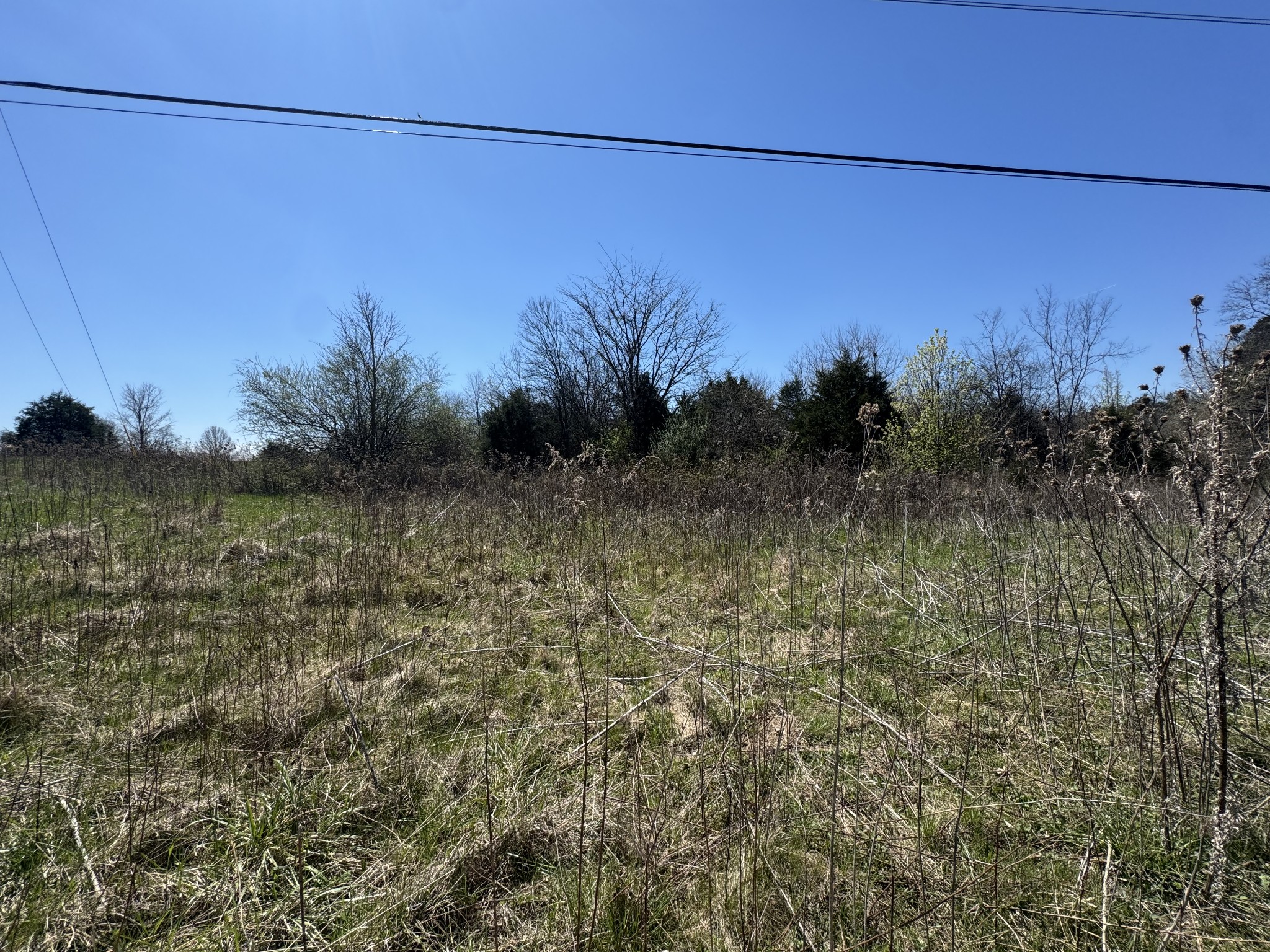 0 Baker Road Columbia, TN 38401 - Photo 40 of 46 a view of a yard