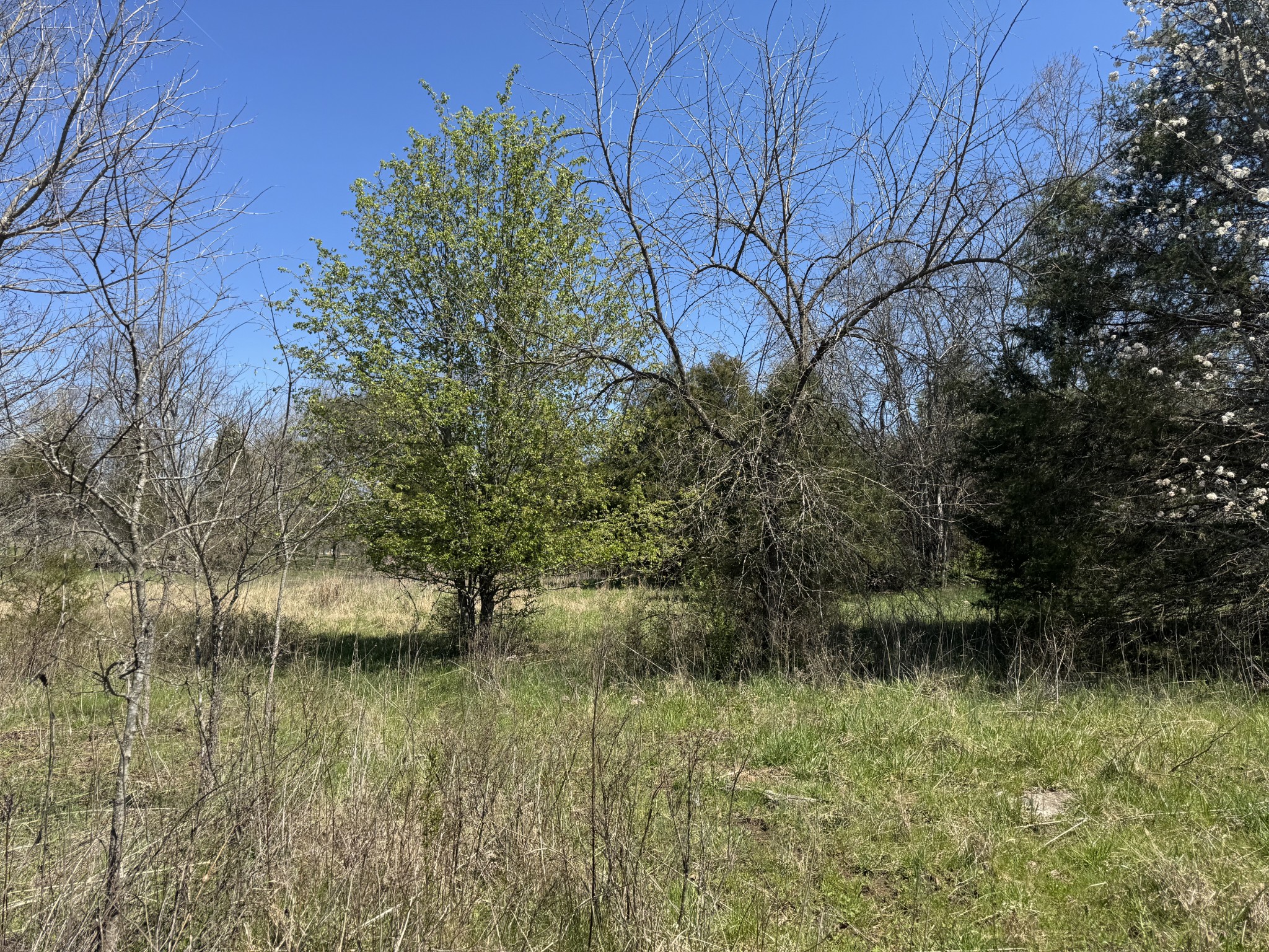 0 Baker Road Columbia, TN 38401 - Photo 42 of 46 a view of lake