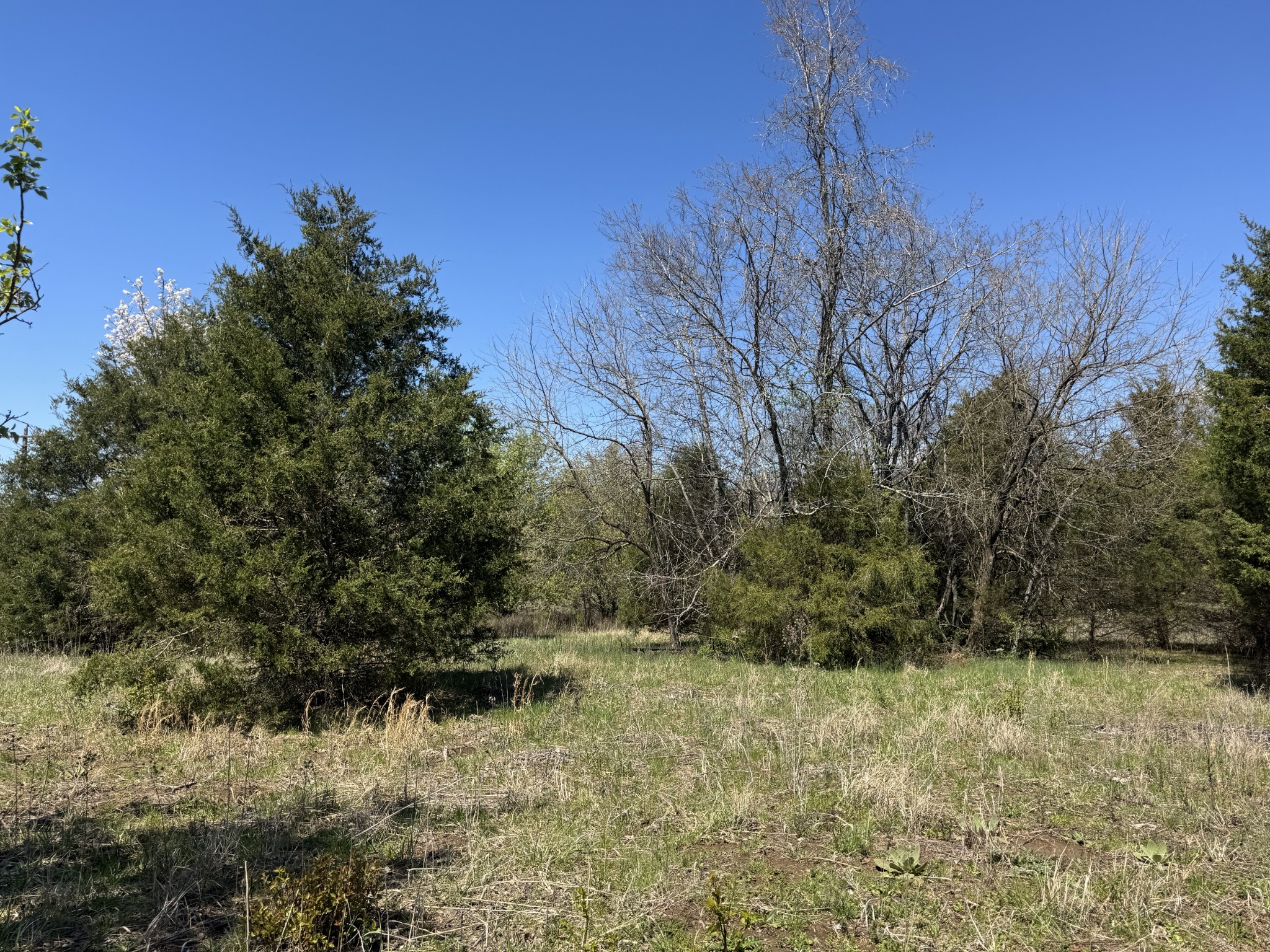 0 Baker Road Columbia, TN 38401 - Photo 44 of 46 a view of a lake view