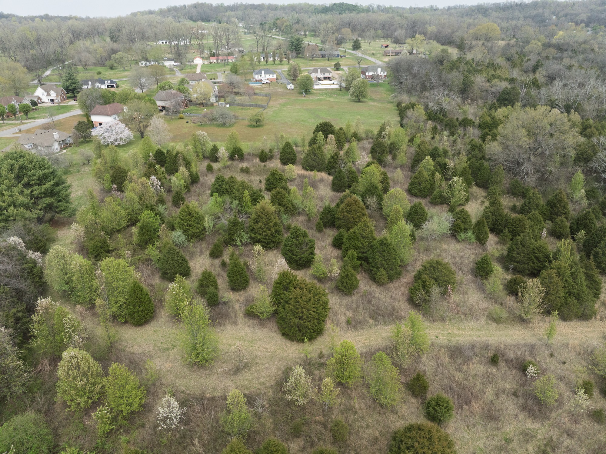 0 Baker Road Columbia, TN 38401 - Photo 8 of 46 a view of a lush green forest with houses