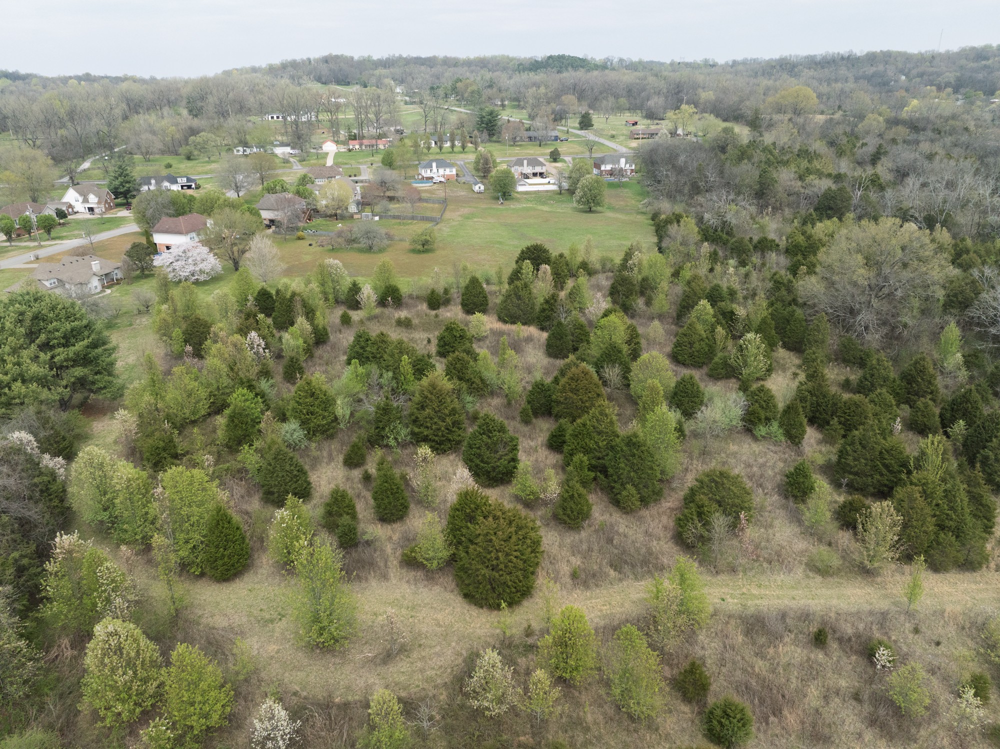 0 Baker Road Columbia, TN 38401 - Photo 9 of 46 a view of a forest with trees in the background