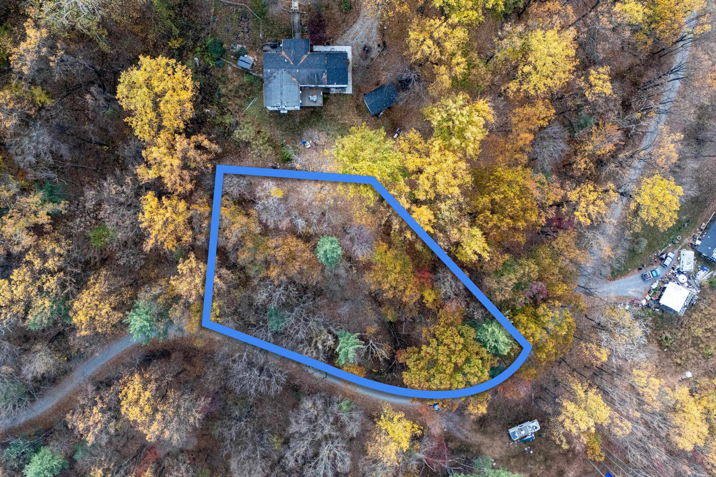 0 Friendly Lane Stanley, VA 22851 - Photo 2 of 49 a view of a tree in a backyard