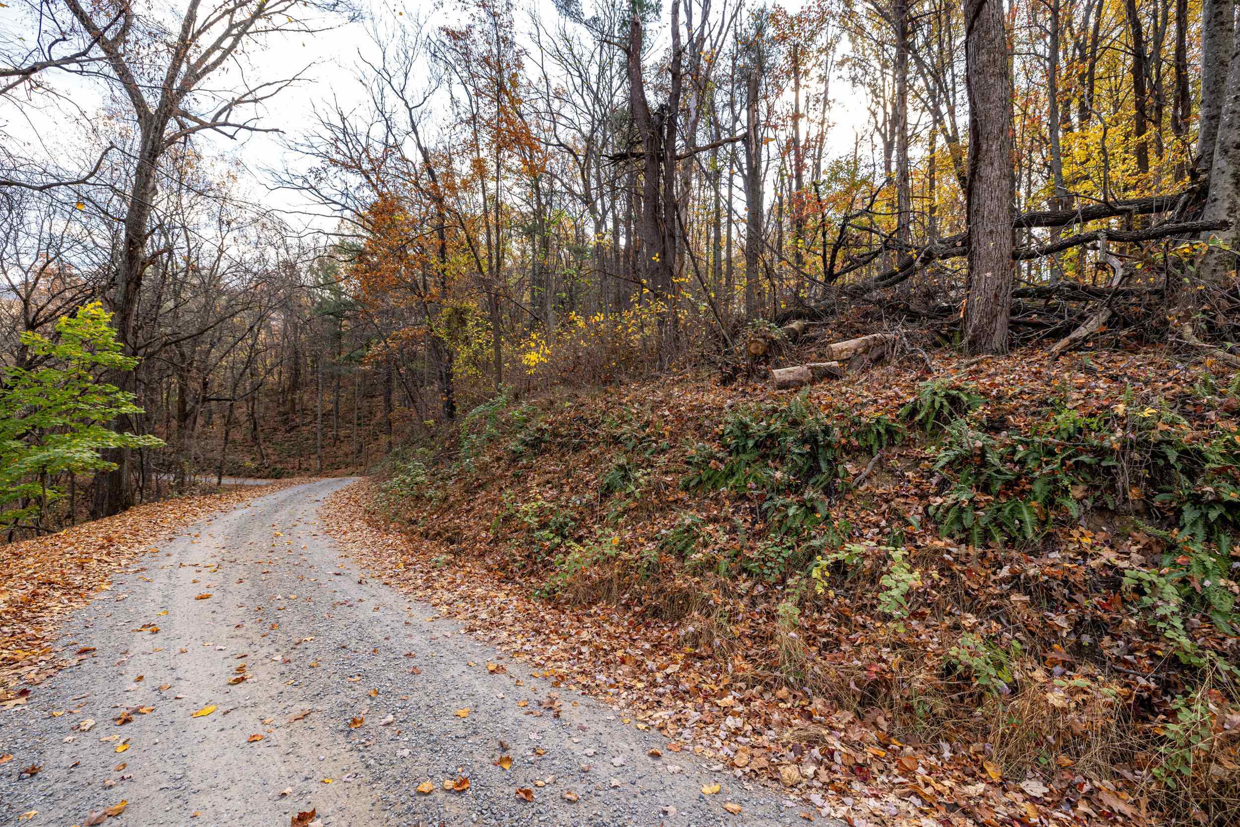 0 Friendly Lane Stanley, VA 22851 - Photo 30 of 49 a view of a yard with plants and trees