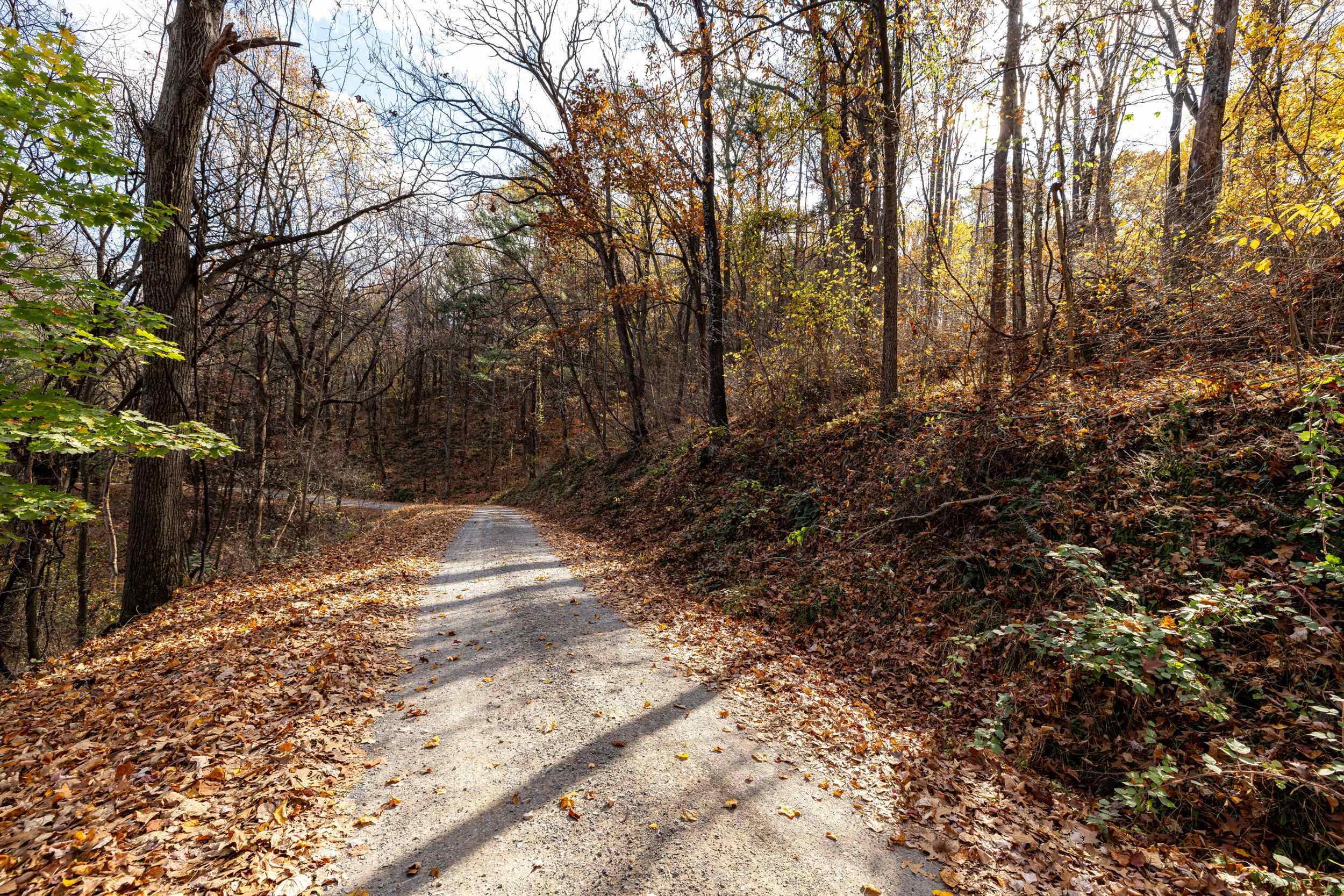 0 Friendly Lane Stanley, VA 22851 - Photo 31 of 49 a view of a yard with plants and trees