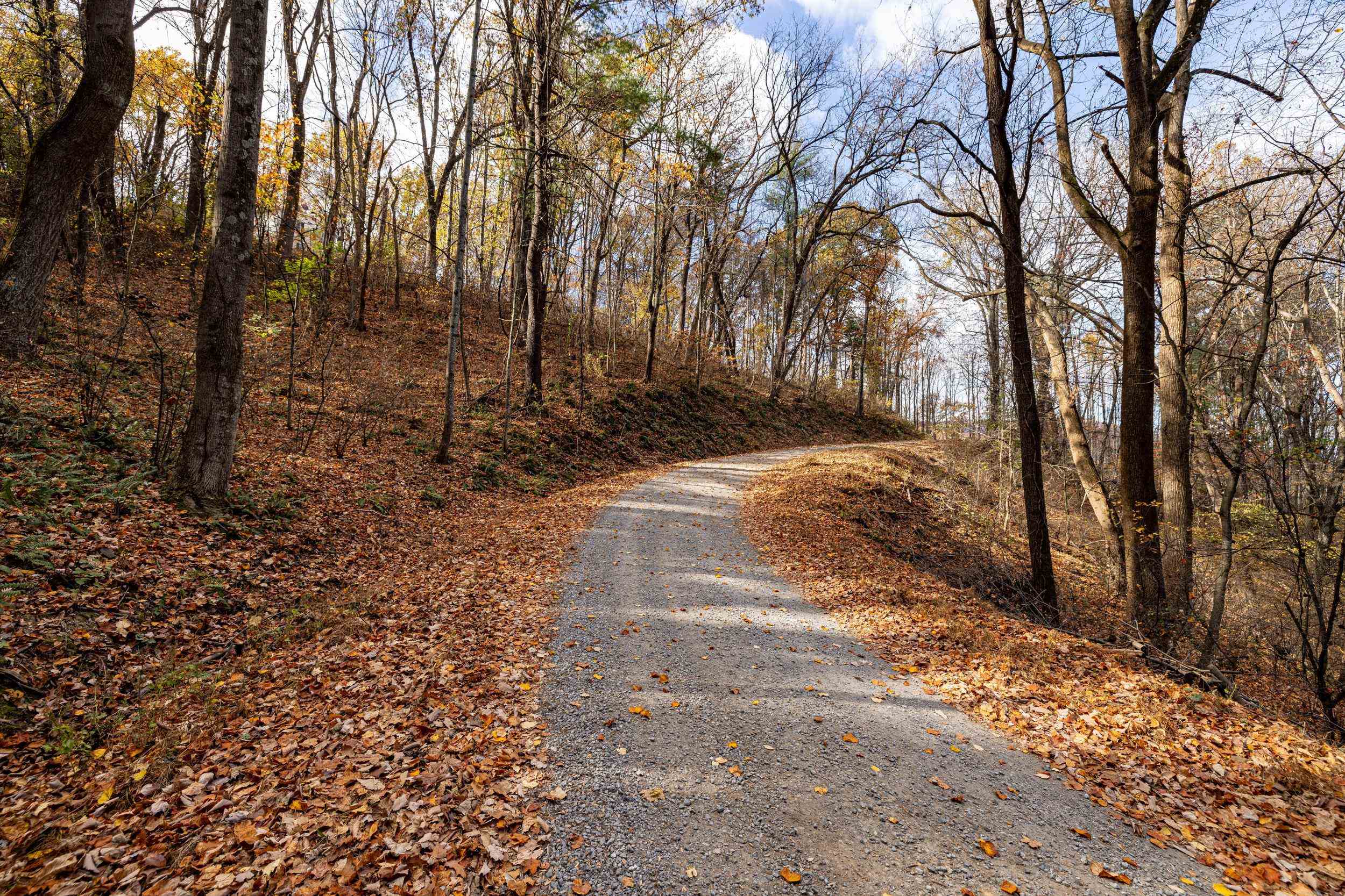 0 Friendly Lane Stanley, VA 22851 - Photo 33 of 49 a view of a yard with trees