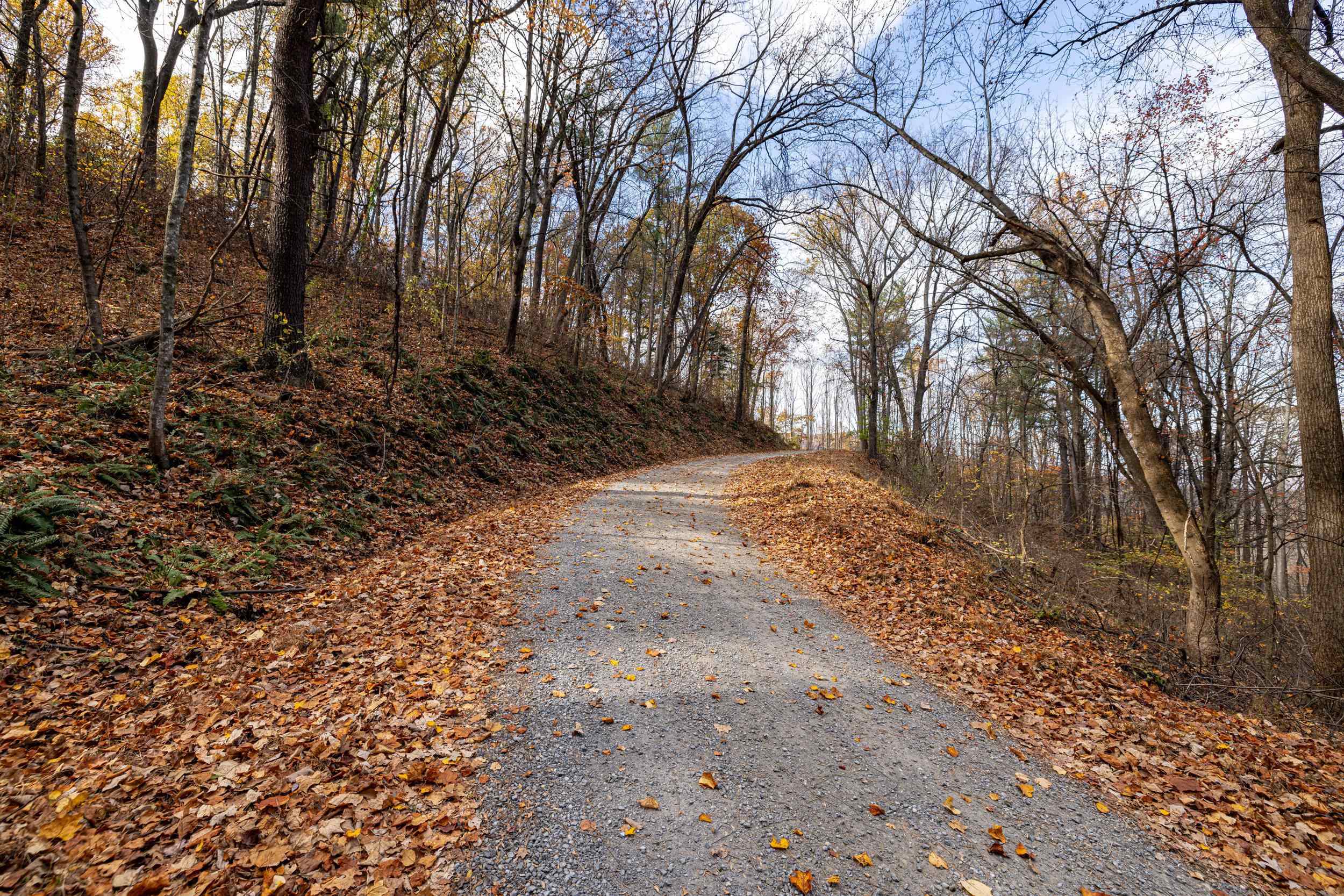 0 Friendly Lane Stanley, VA 22851 - Photo 34 of 49 a view of a yard with trees