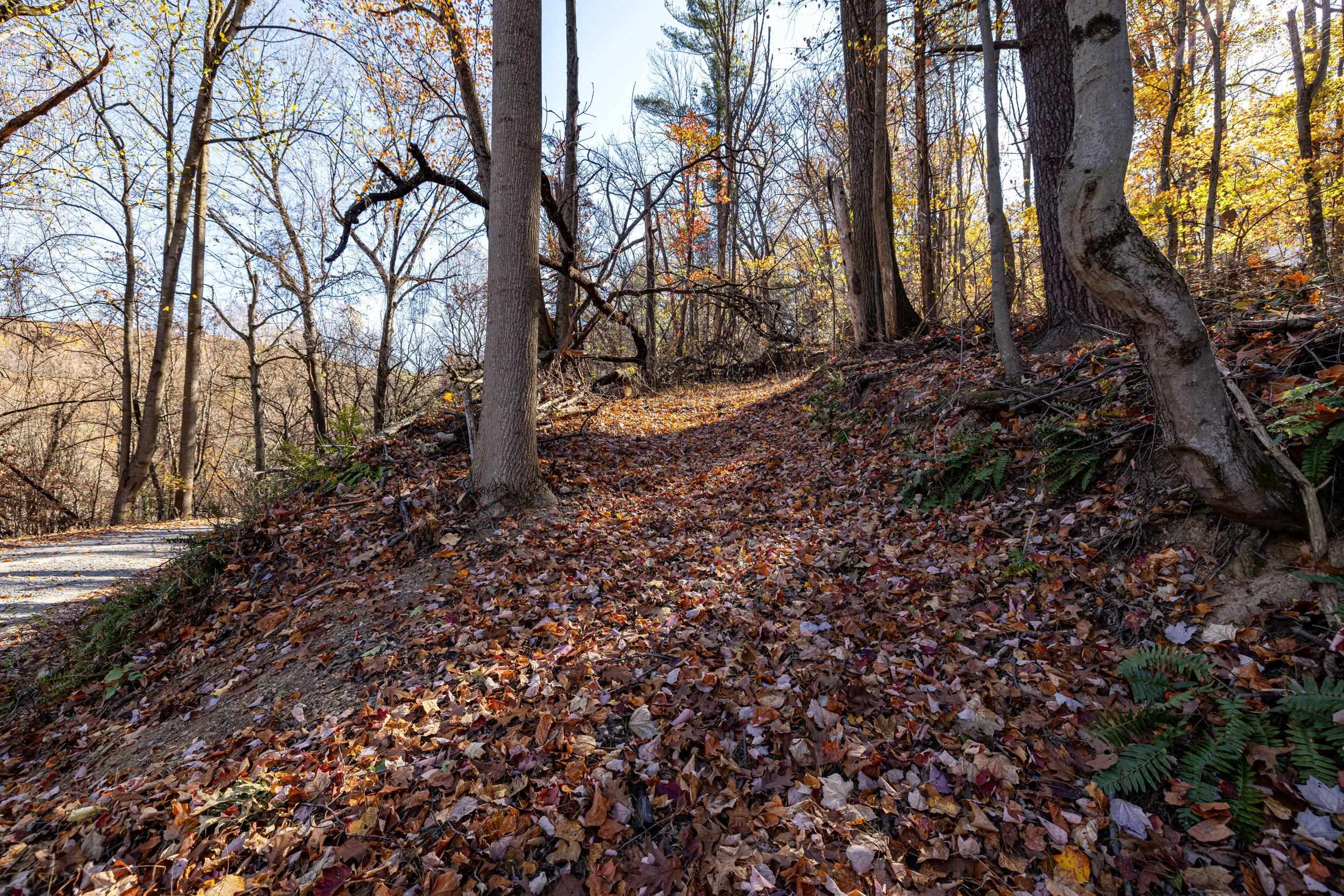 0 Friendly Lane Stanley, VA 22851 - Photo 39 of 49 a backyard of a house with lots of green space