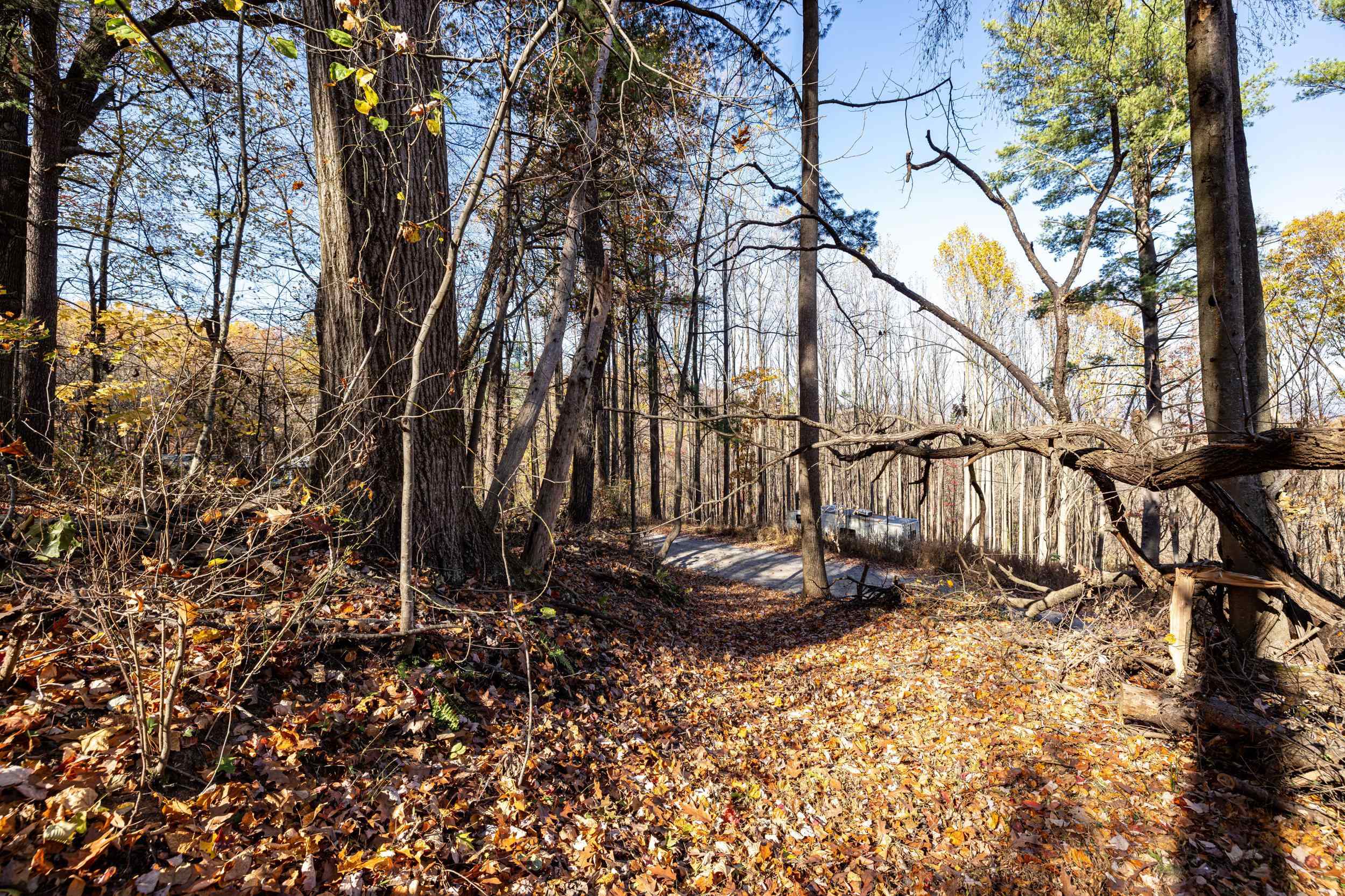 0 Friendly Lane Stanley, VA 22851 - Photo 42 of 49 a view of outdoor space and yard