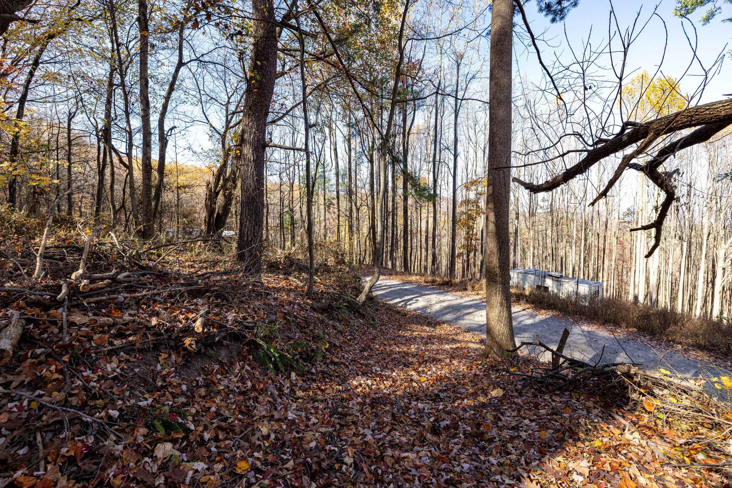 0 Friendly Lane Stanley, VA 22851 - Photo 43 of 49 a backyard of a house with lots of green space