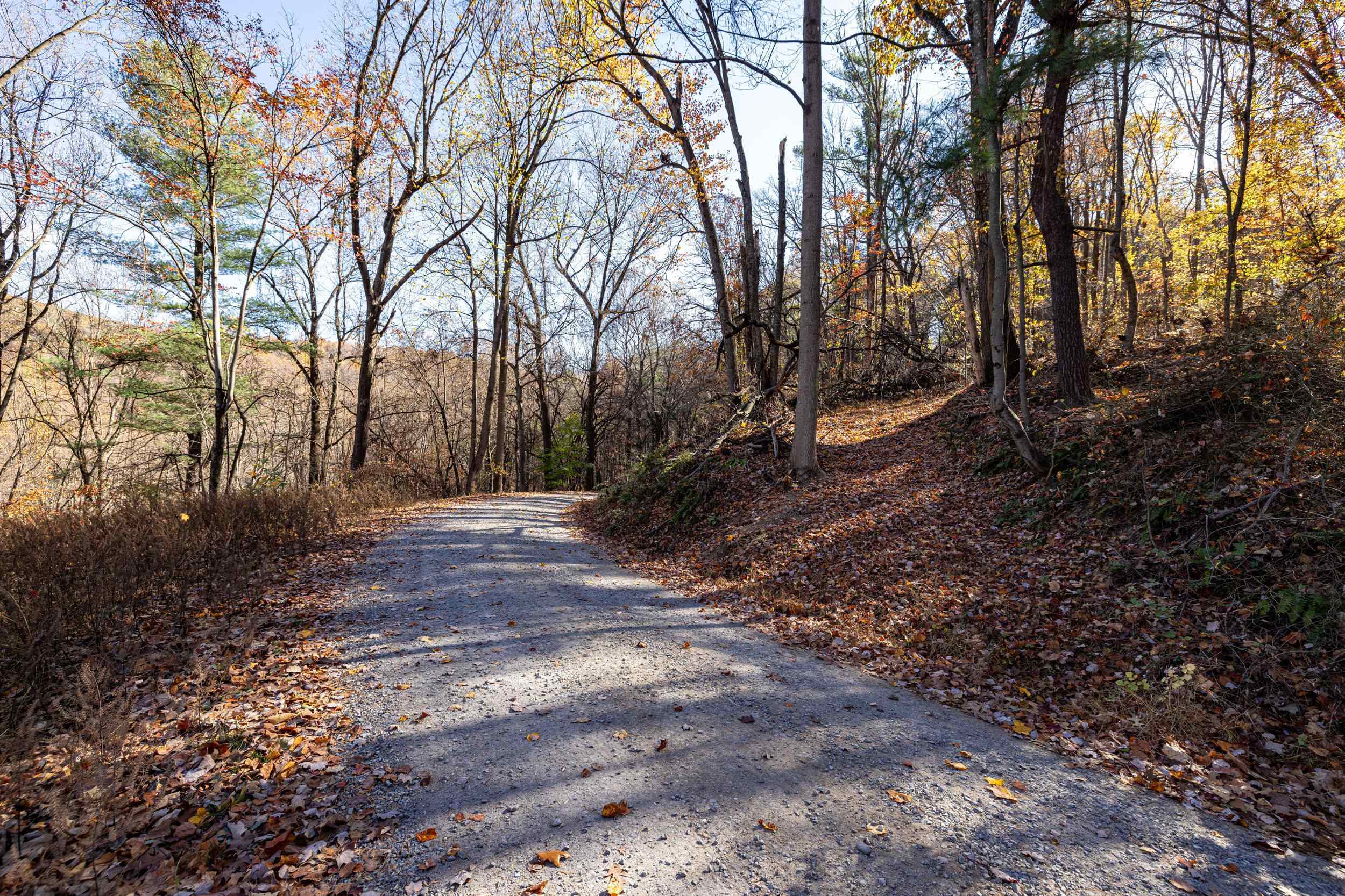 0 Friendly Lane Stanley, VA 22851 - Photo 44 of 49 a view of backyard with green space