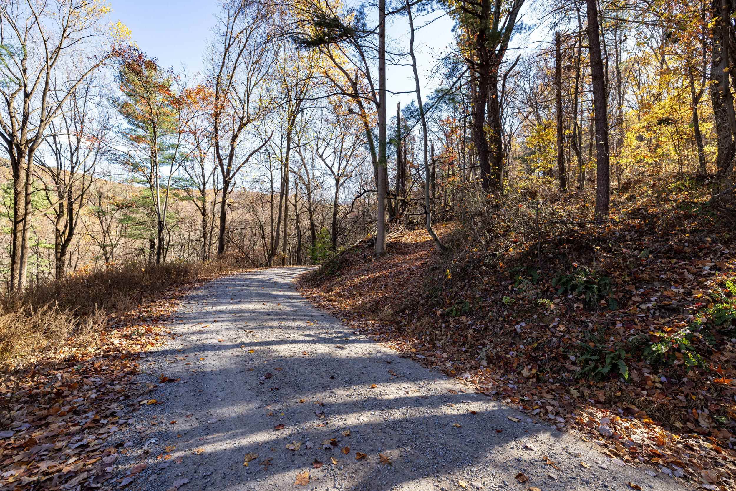 0 Friendly Lane Stanley, VA 22851 - Photo 45 of 49 a view of yard with trees