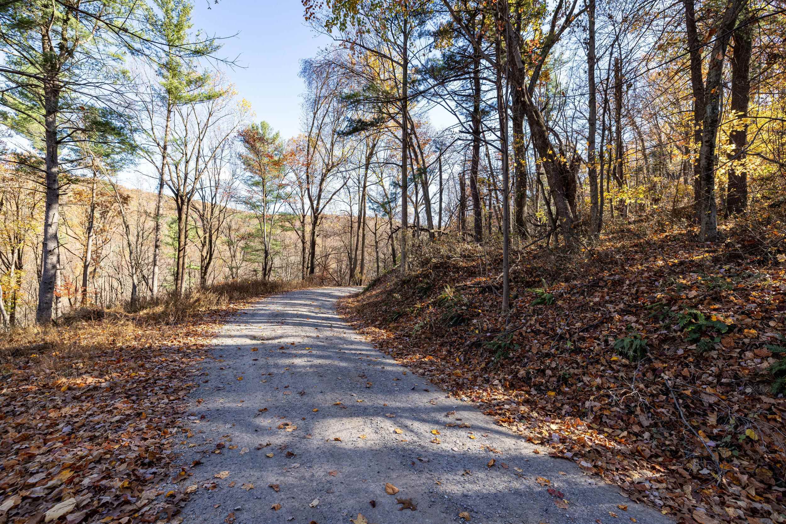 0 Friendly Lane Stanley, VA 22851 - Photo 46 of 49 a view of dirt yard with a large tree