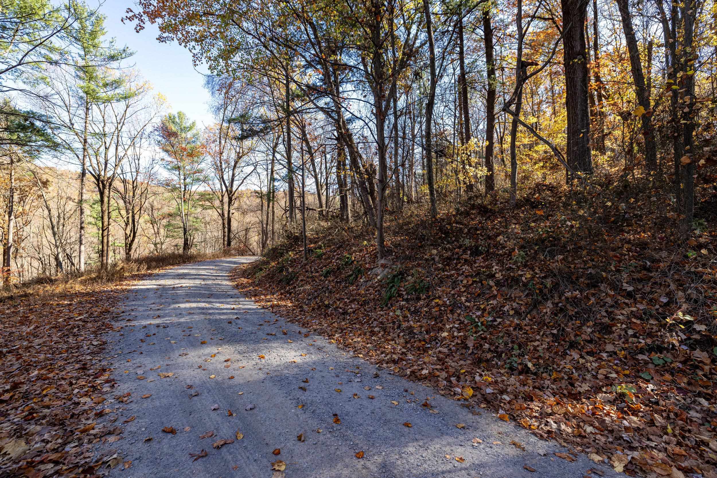 0 Friendly Lane Stanley, VA 22851 - Photo 47 of 49 a view of backyard of house